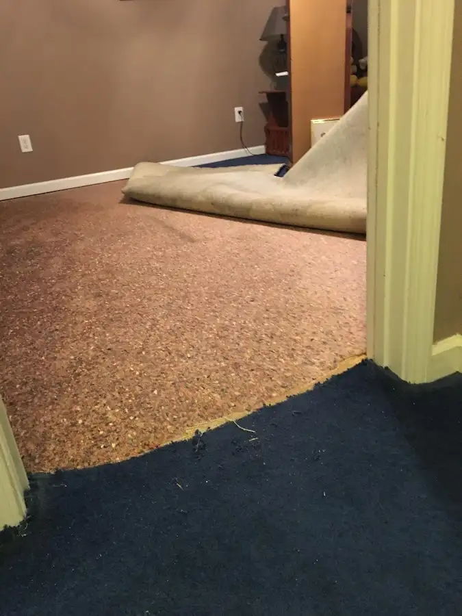 Carpet pad removal revealing water damage during Drying & Dehumidification in Spring