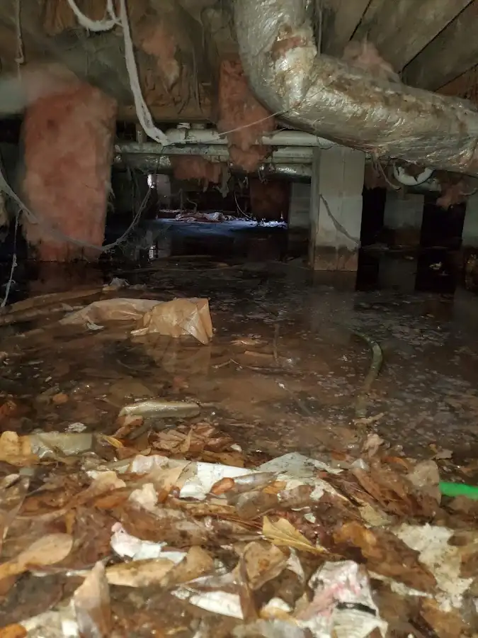 Crawl space flood assessment for Commercial Water Damage Restoration in Spring