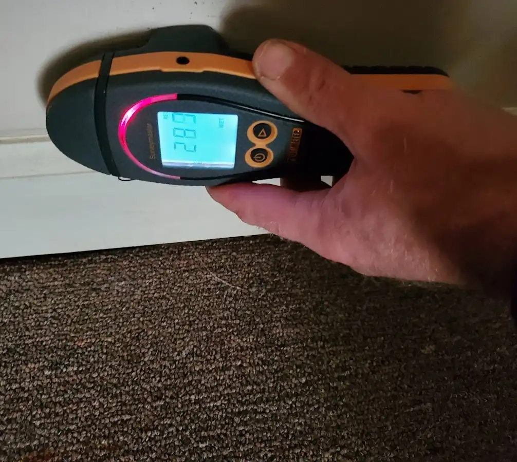 Moisture detection at baseboard during Sewage Cleanup & Sanitation in Spring